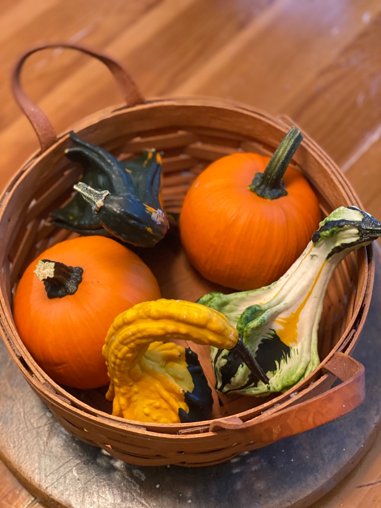 Close up Photograph of orange, yellow, green, and white pumpkins and gourds in fall arranged in a basket 